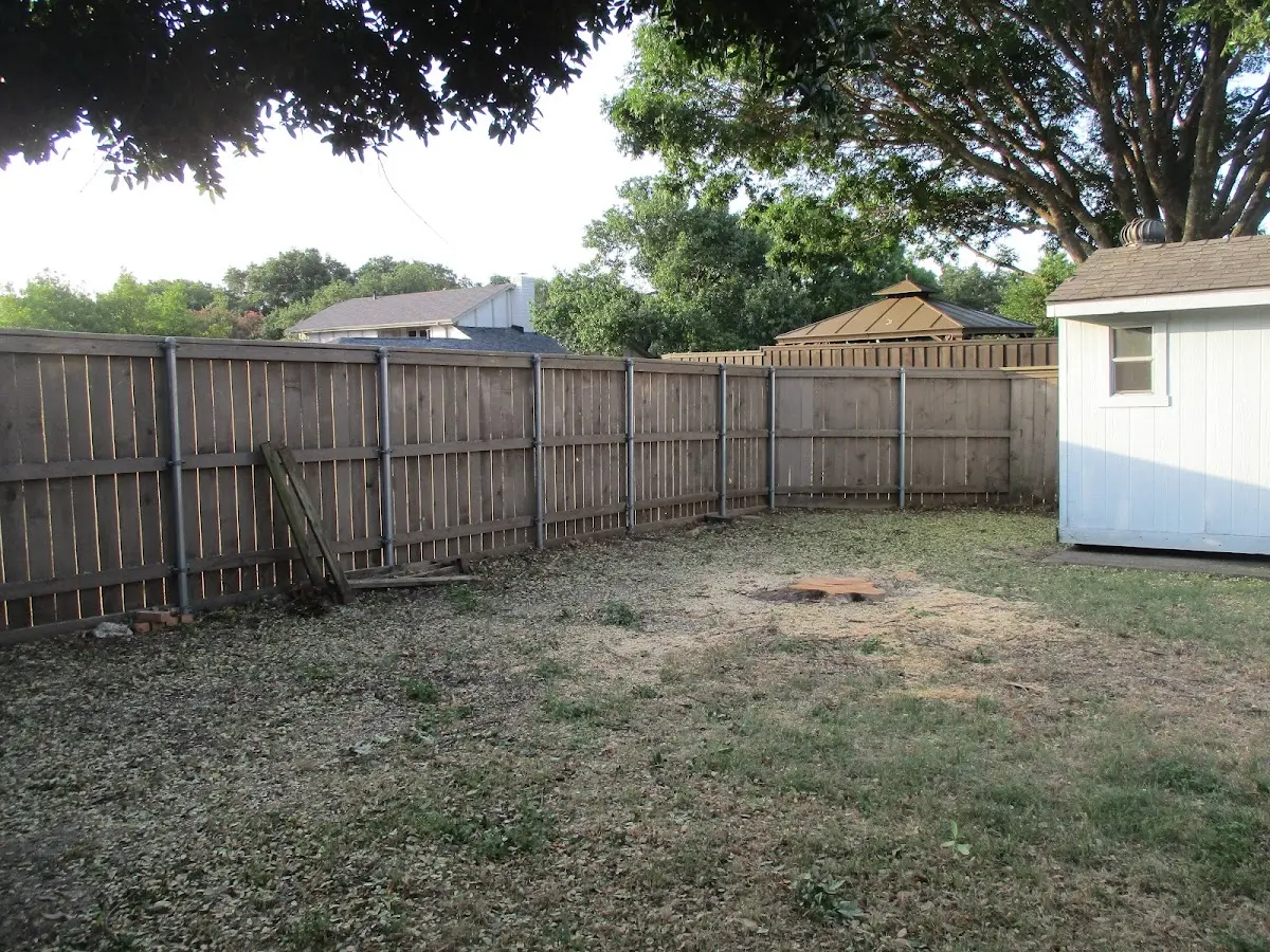 Cleared yard after professional tree removal in Layton