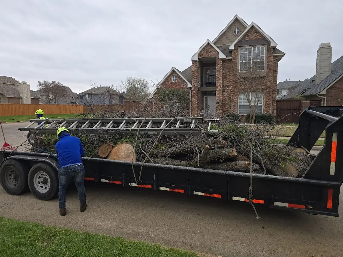 Expert Tree Fertilization with proper safety equipment in Layton